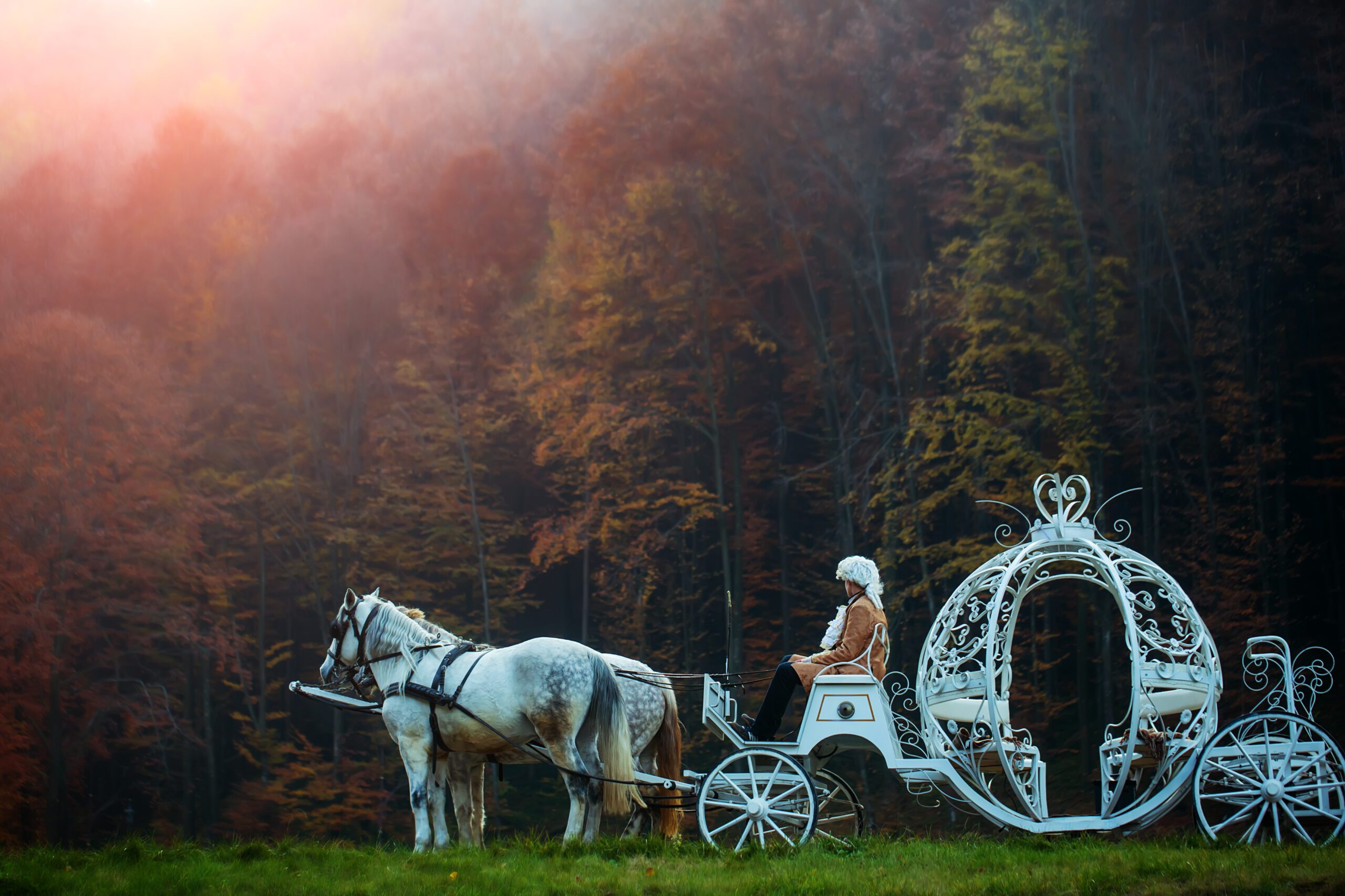 Vintage carriage in forest